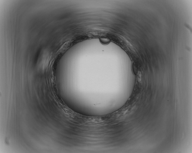X0000096190915200801181005