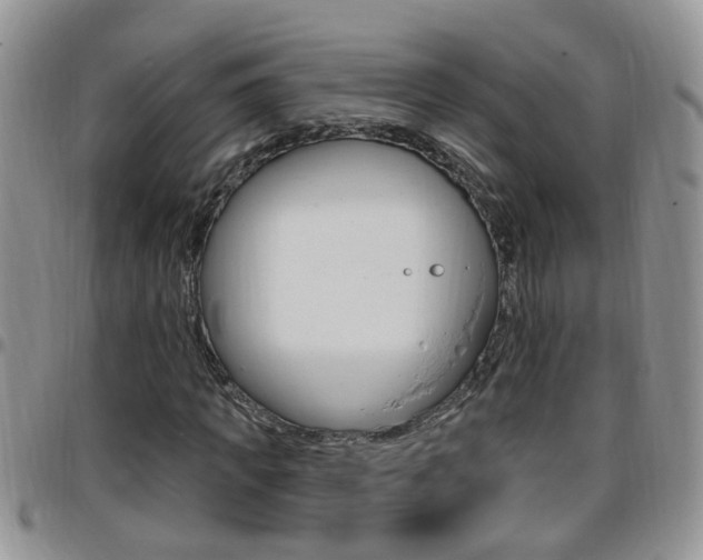 X0000096190917200801181005