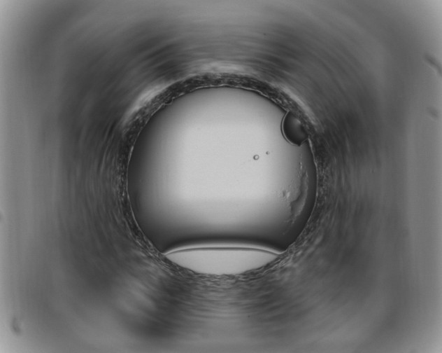 X0000096190919200801181005