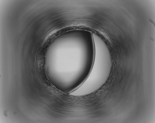 X0000096190920200801181005