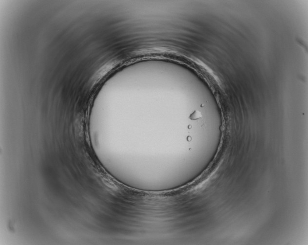 X0000096190921200801181005