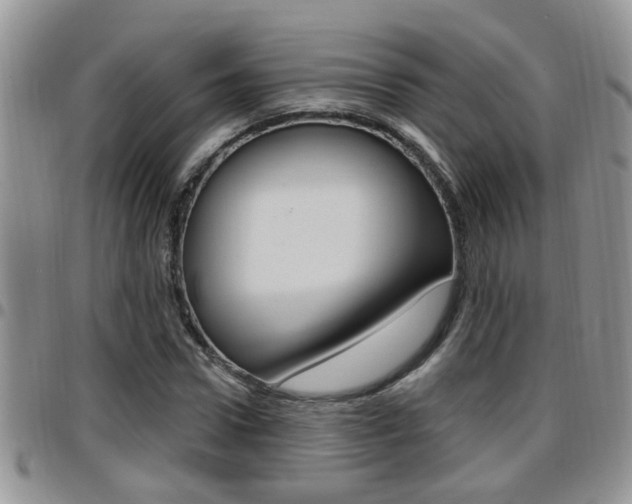 X0000096190922200801181005
