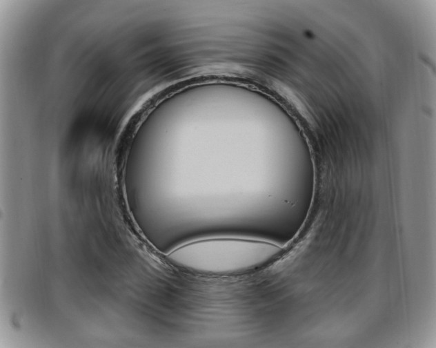 X0000096190923200801181005