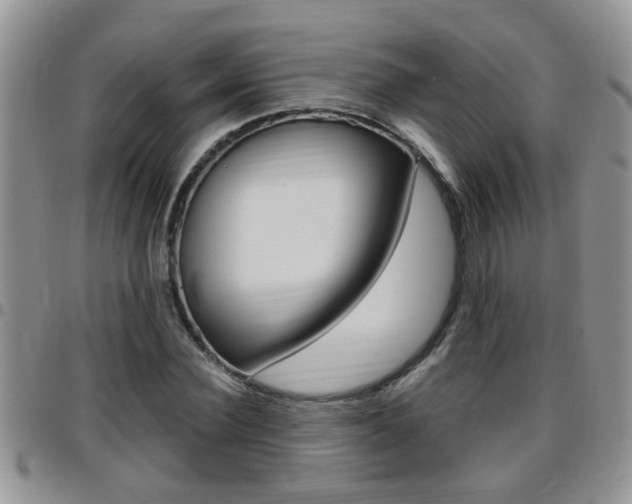 X0000096190924200801181005
