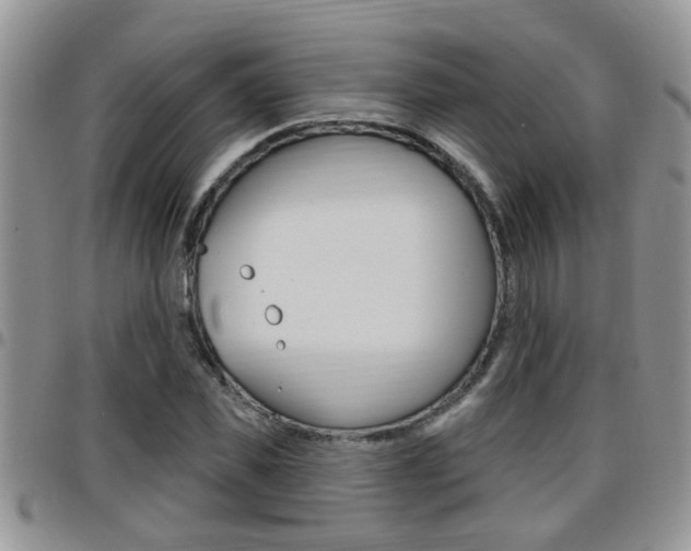X0000096190925200801181005