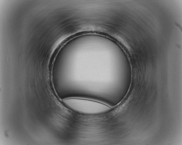 X0000096190927200801181005