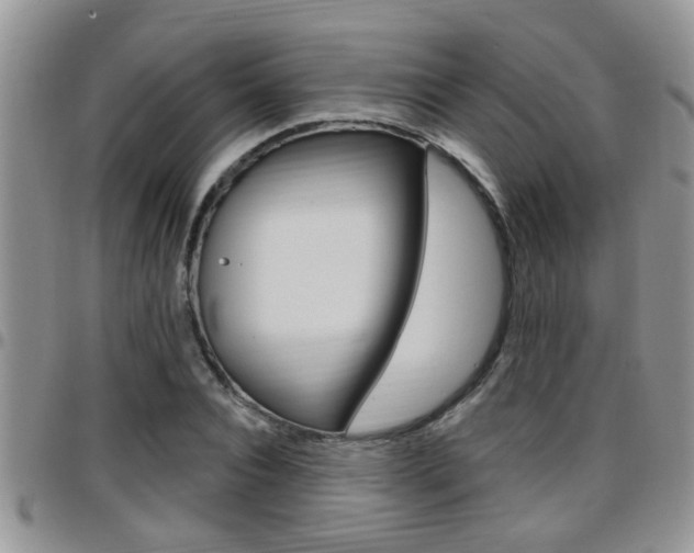 X0000096190928200801181005