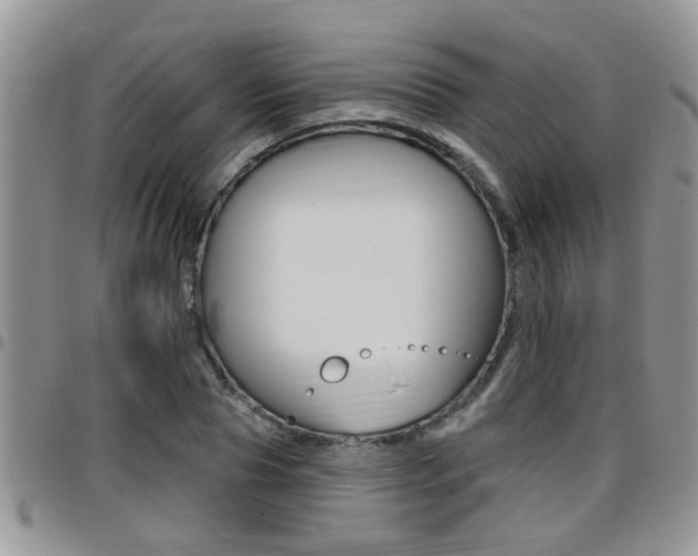 X0000096190929200801181005