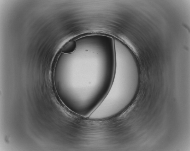 X0000096190932200801181005