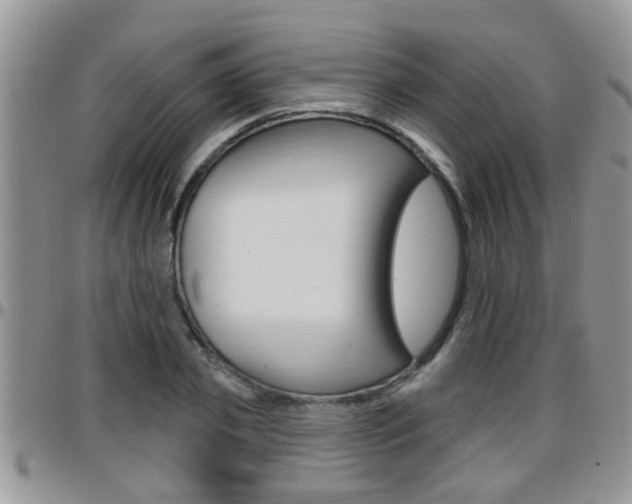 X0000096190933200801181005