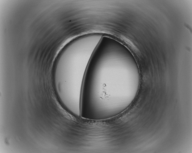 X0000096190934200801181005