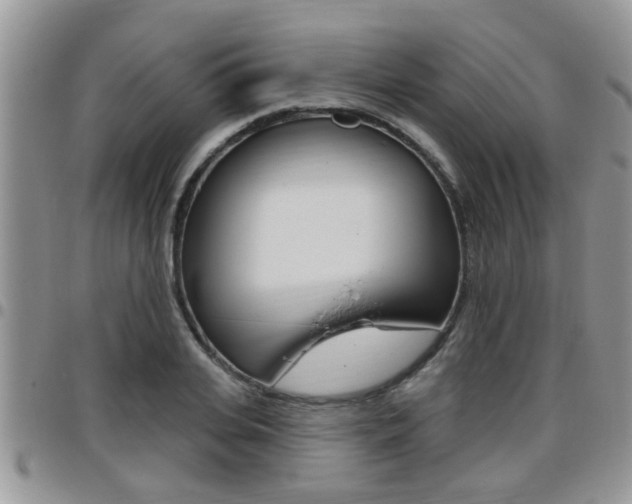 X0000096190935200801181005