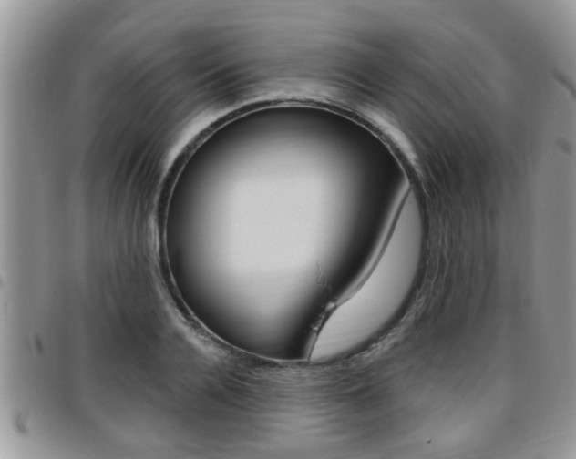 X0000096190936200801181005