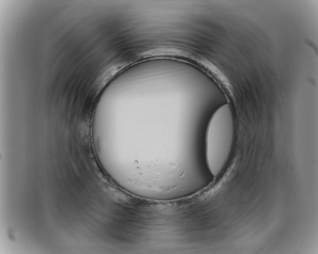 X0000096190937200801181005