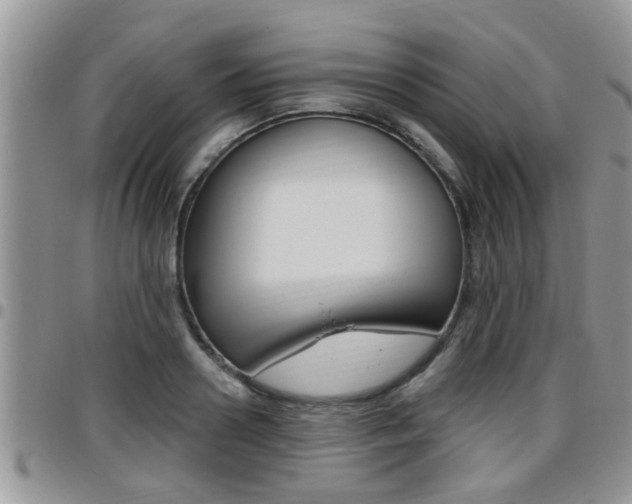 X0000096190938200801181005