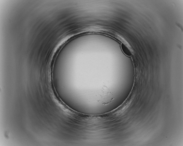X0000096190939200801181005