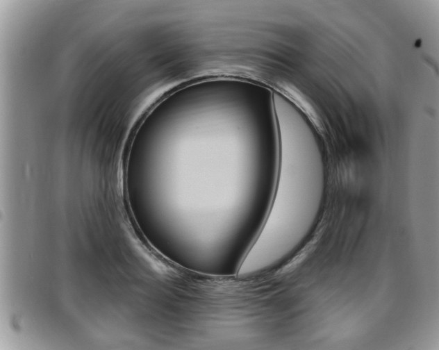 X0000096190940200801181005
