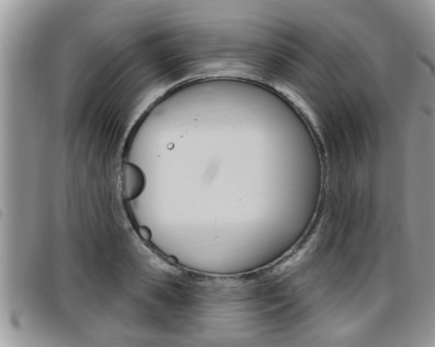 X0000096190941200801181005