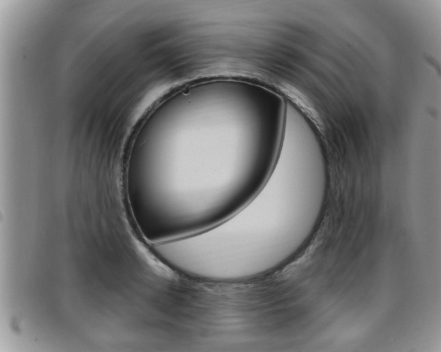 X0000096190942200801181005