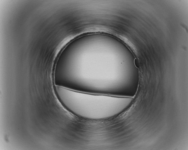 X0000096190943200801181005