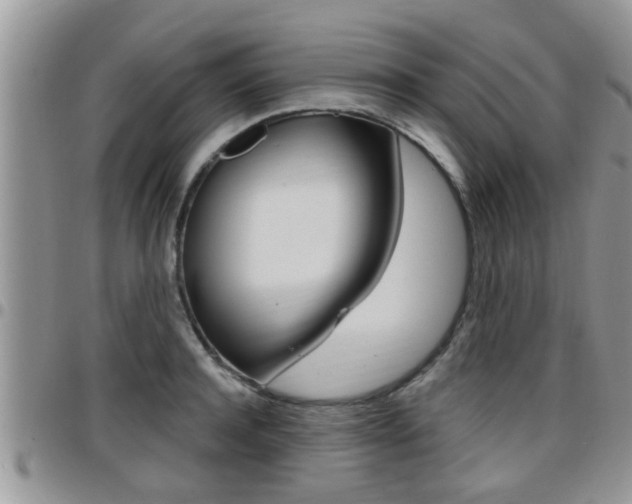 X0000096190944200801181005
