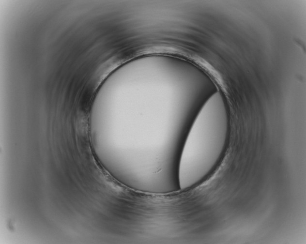 X0000096190945200801181005