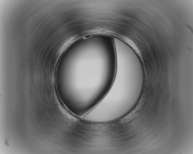 X0000096190946200801181005
