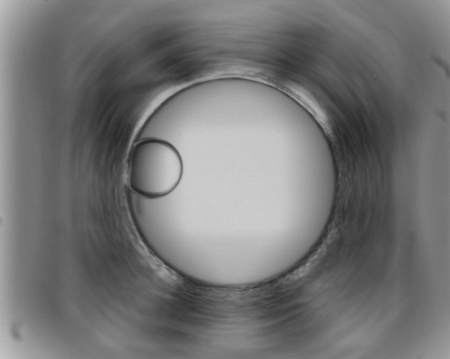 X0000096190948200801181005