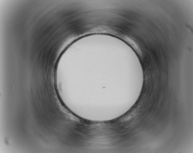 X0000096190950200801181005