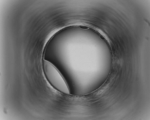 X0000096190951200801181005