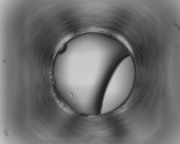 X0000096190954200801181005