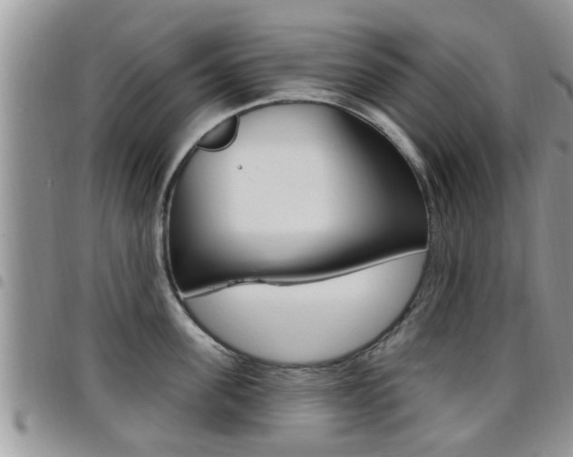X0000096190955200801181005