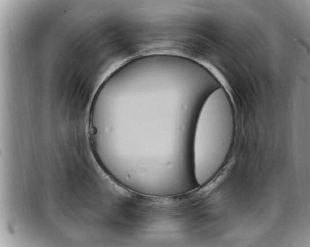 X0000096190957200801181005