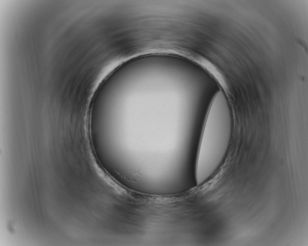 X0000096190958200801181005