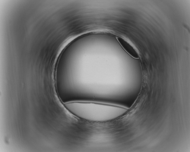 X0000096190959200801181005