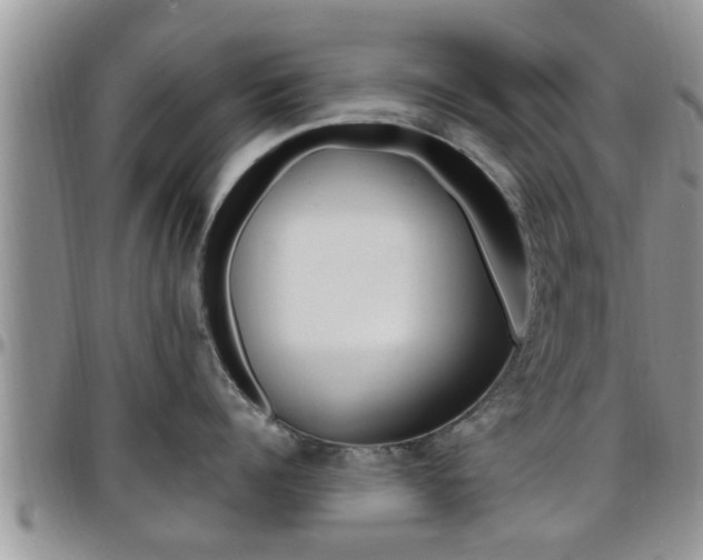 X0000096190960200801181005