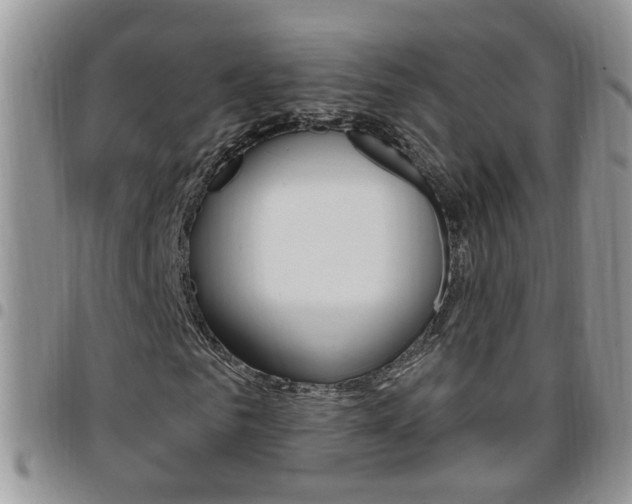 X0000096190961200801181005