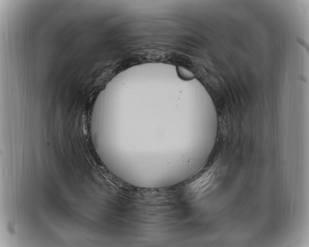 X0000096190962200801181005