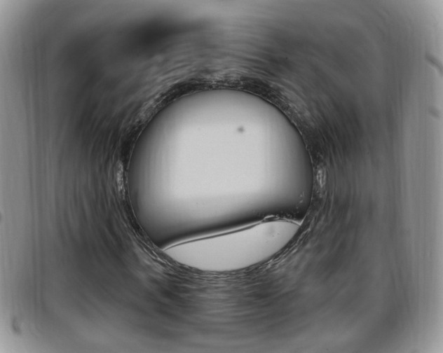 X0000096190963200801181005
