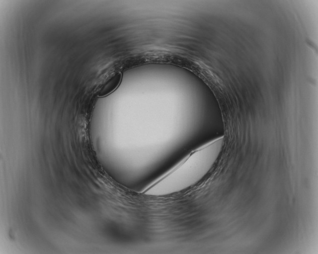 X0000096190964200801181005