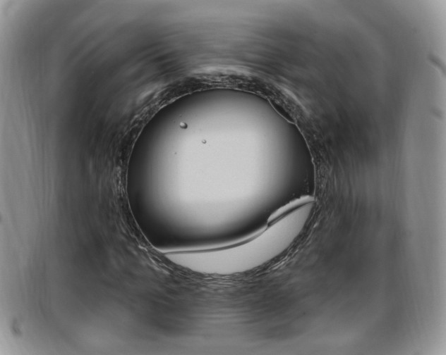 X0000096190965200801181005