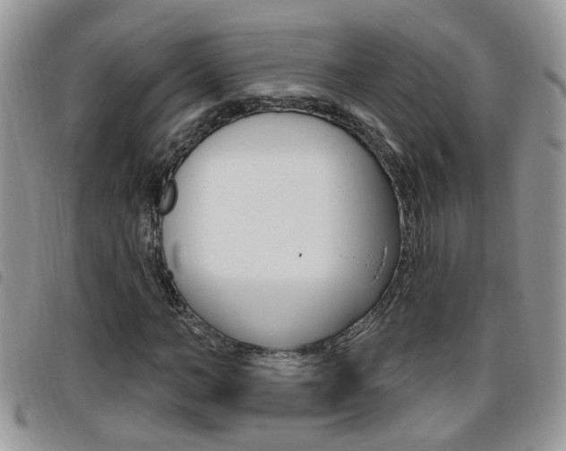 X0000096190966200801181005