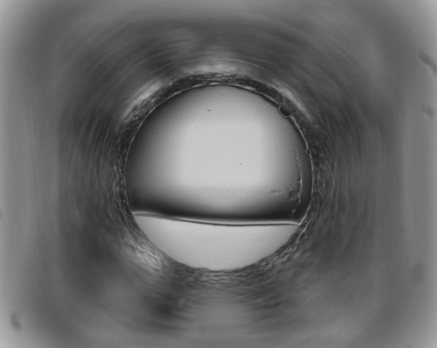X0000096190967200801181005