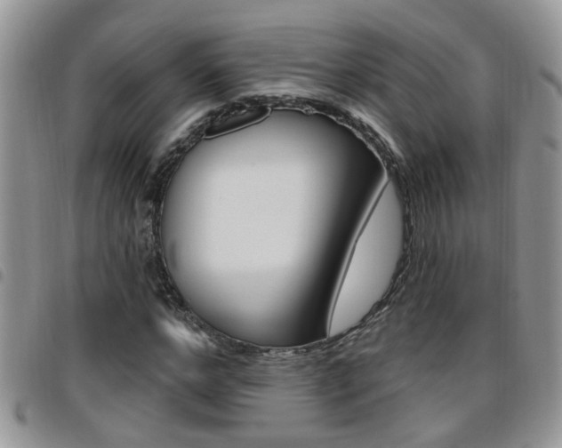 X0000096190968200801181005