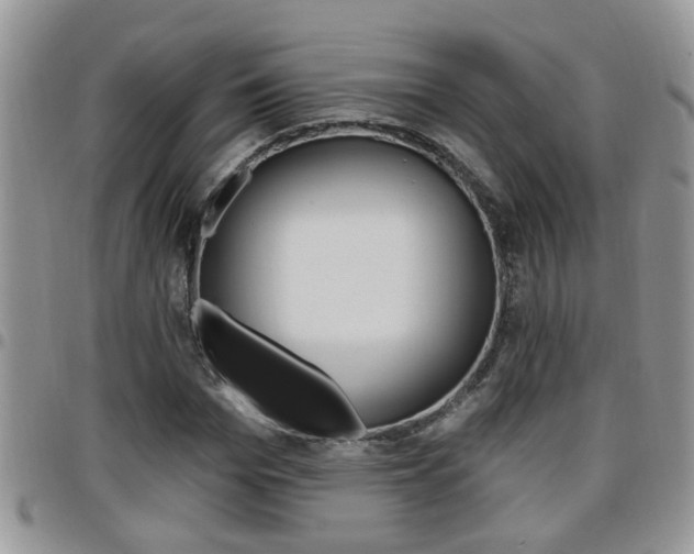 X0000096190969200801181005