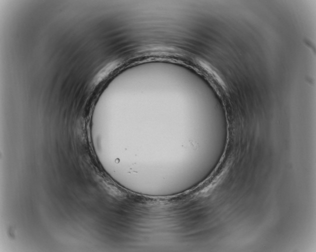 X0000096190970200801181005