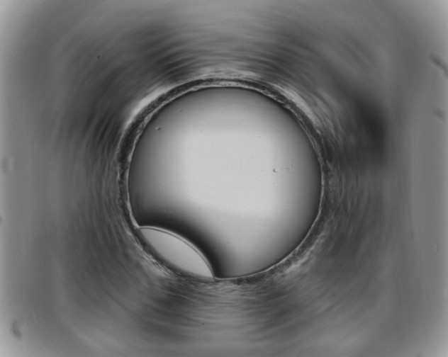 X0000096190971200801181004