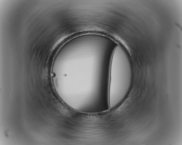 X0000096190975200801181004