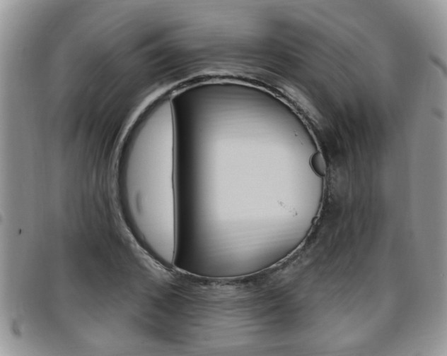 X0000096190976200801181004