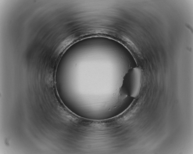 X0000096190977200801181004